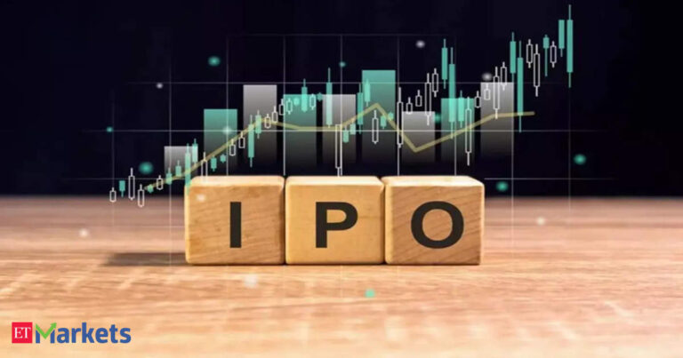 A Rs 12 crore IPO sparked a Rs 2,700 crore frenzy last year. Now, the stock is down 50%