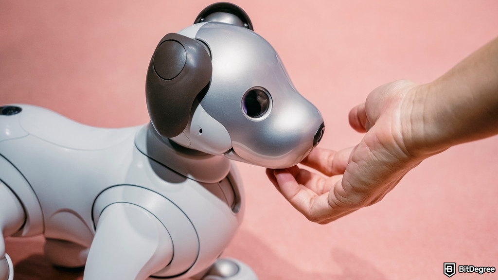 Aibo Goes Digital: Sony Drops Soulbound NFT Collection