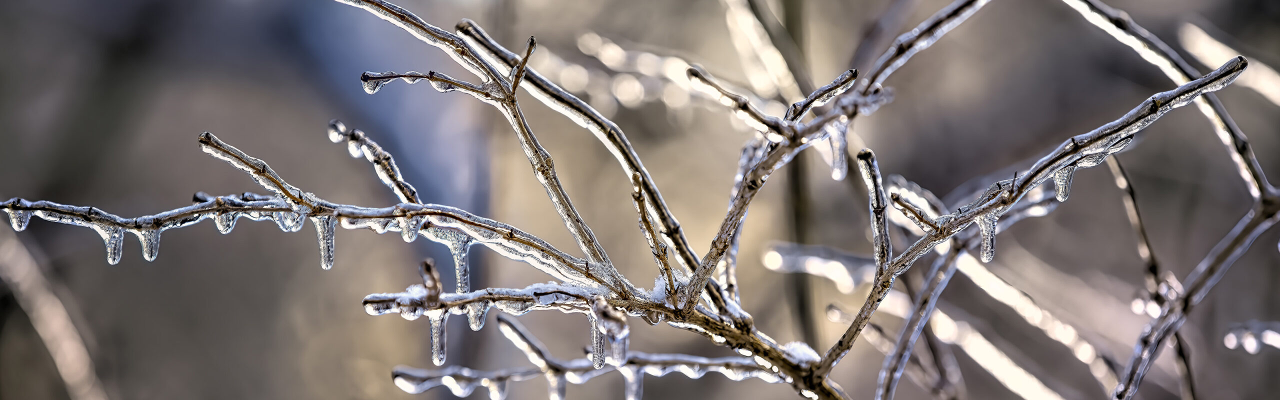 Alectra working through Sunday night to restore power to approximately 18,000 customers