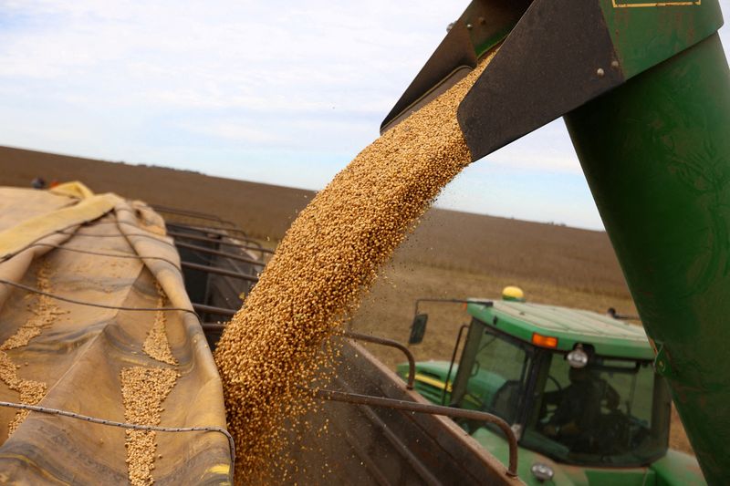 Argentine farmers stall soy sales over murky FX outlook