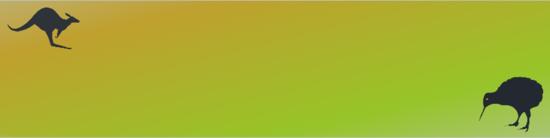 Aussi Kiwi MT5 - Settings and Description