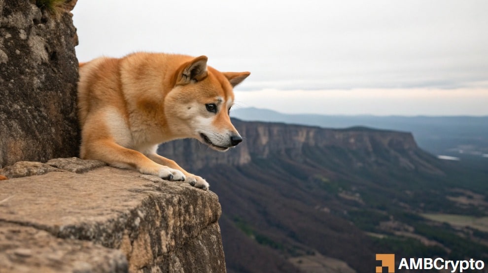 Bonk faces 27% drop as bearish pressure mounts: Can it happen?