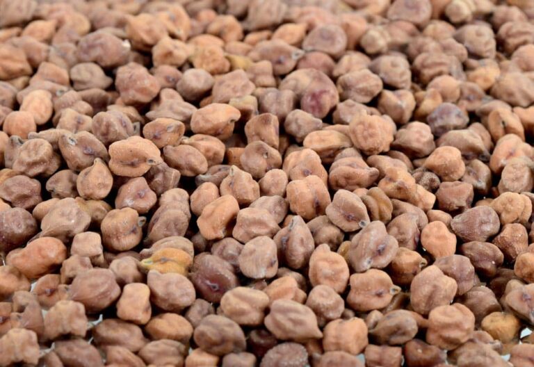 Govt to impose 10% import duty on desi chana from 1st April - Equitypandit