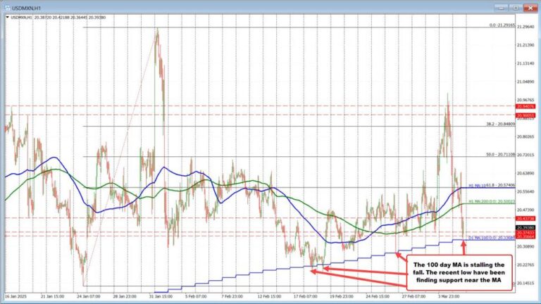 USDMXN slips after US weighs delay on the auto tariffs | Forexlive
