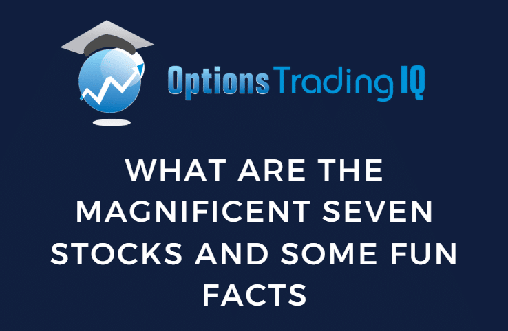 What Are The Magnificent Seven Stocks And Some Fun Facts