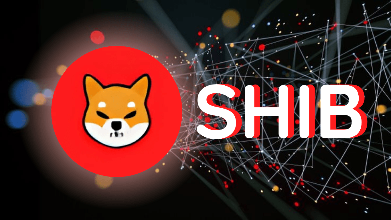 1000 Dollar in SHIB = 1 Million in 2025?