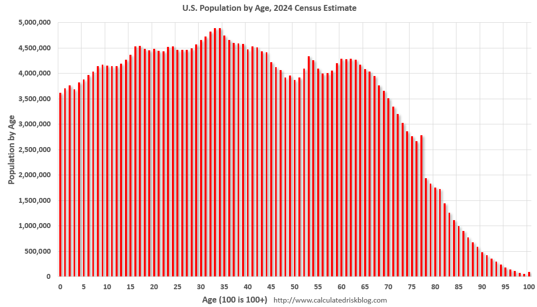 U.S. Demographics: Largest 5-year cohorts, and Ten most Common Ages in 2024