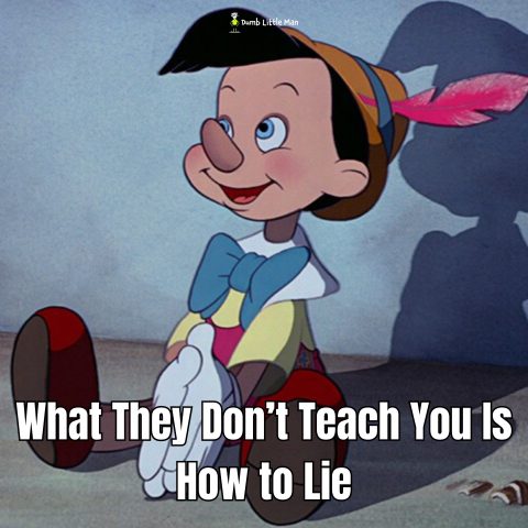 What They Don’t Teach You Is How to Lie