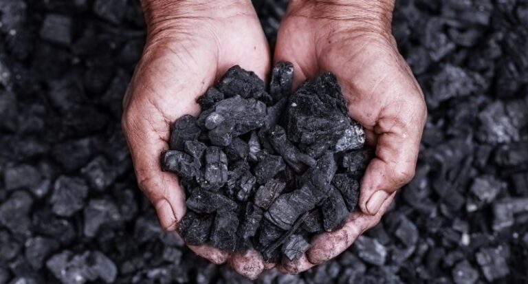 The Rising Price of Tea Matters More Than You Think - Fat Tail Daily