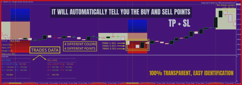 IMPULSE HUNTER INDICATOR 🚀✅
