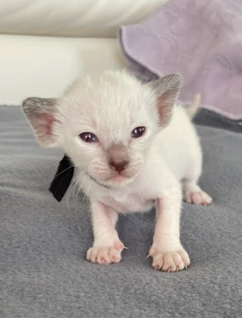 TraderFeed Takes a Vacation