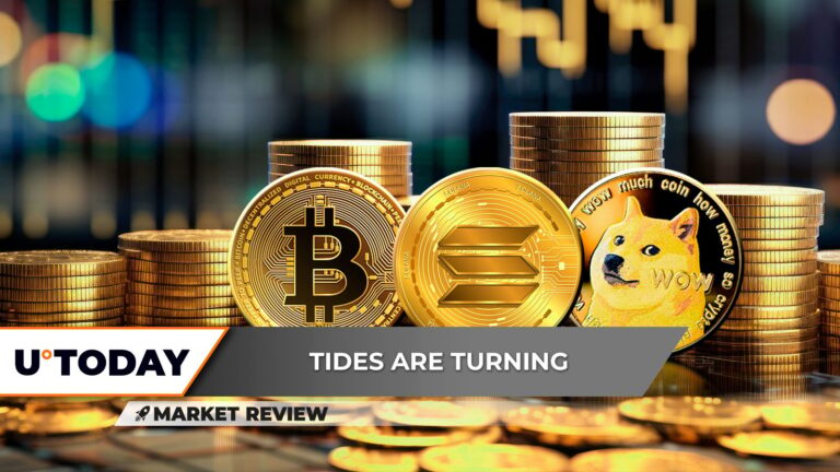 Can Bitcoin (BTC) Reach $100,000 Now? Solana's (SOL) Coming Back to Fundamentals, Dogecoin (DOGE): Ready to Skyrocket Long Term