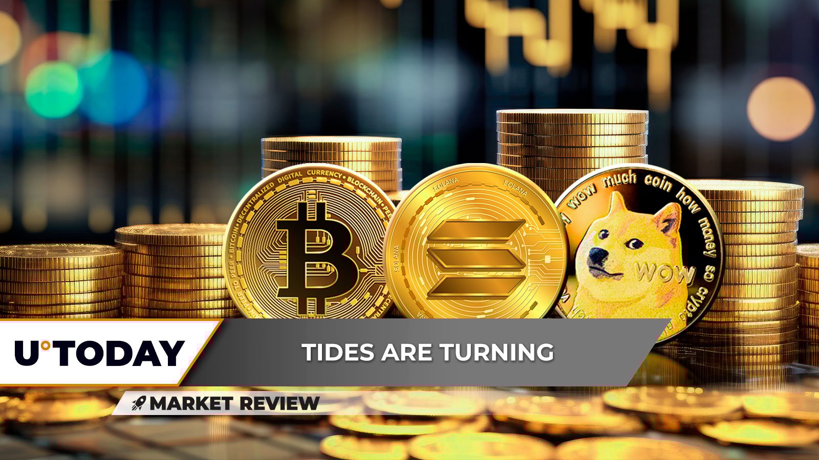 Can Bitcoin (BTC) Reach $100,000 Now? Solana's (SOL) Coming Back to Fundamentals, Dogecoin (DOGE): Ready to Skyrocket Long Term