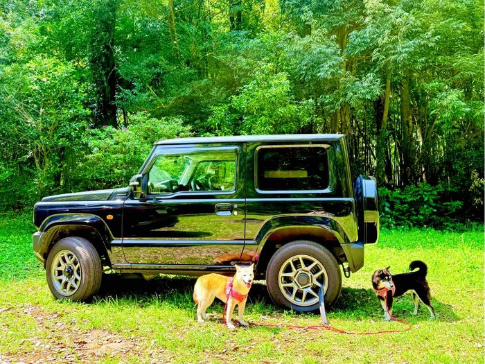 BREAKING: Doge Creator Atsuko Sato Announces First-Ever Doge Memorial Party – Global Pilgrimage for Fans?