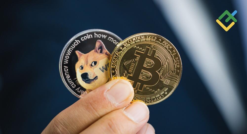 Bitcoin vs Dogecoin: Key Differences | LiteFinance