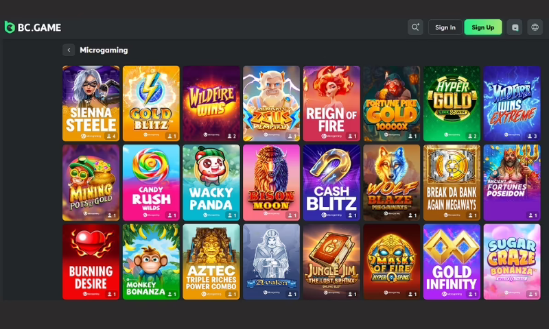 Various slot games from Microgaming.