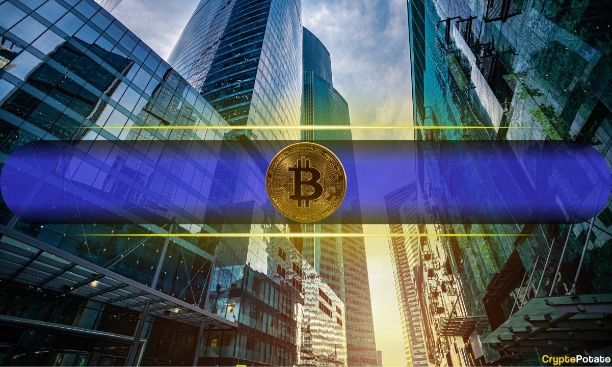 Corporate BTC Buying Surged in Q1 Despite Market Correction