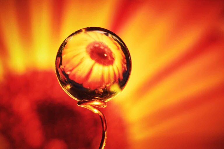 Enphase Stock Q1: It Pays To Be Contrarian (NASDAQ:ENPH)