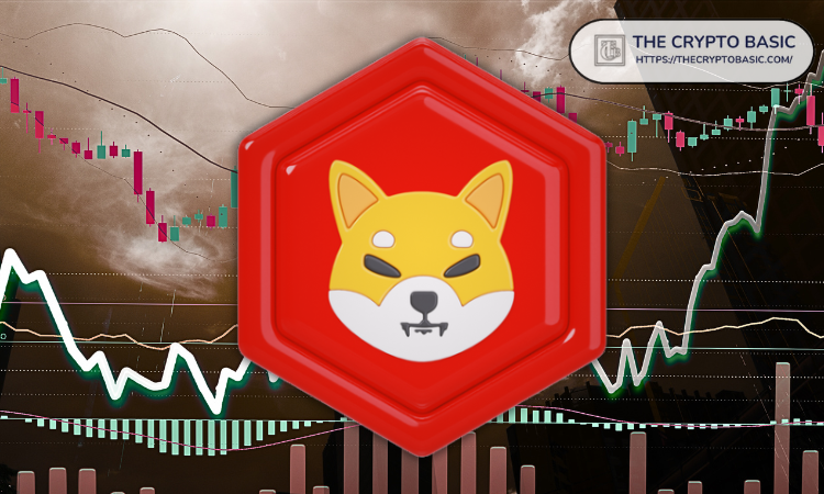 Here is How High Shiba Inu Can Reach if Total Crypto Market Cap Reaches $30T 