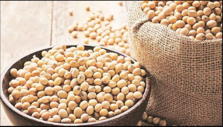 India's Oilmeal Exports Fall 21% to Rs 12,171 Crore in FY25; Volumes Down 11% - Equitypandit