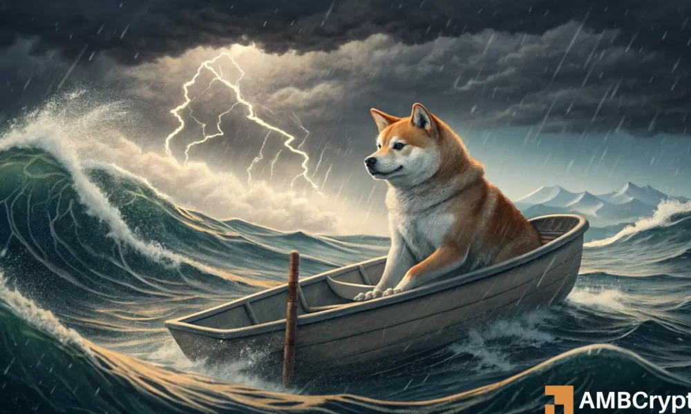 Shiba Inu – How to make sense of conflicting signals after memecoin’s price drop?
