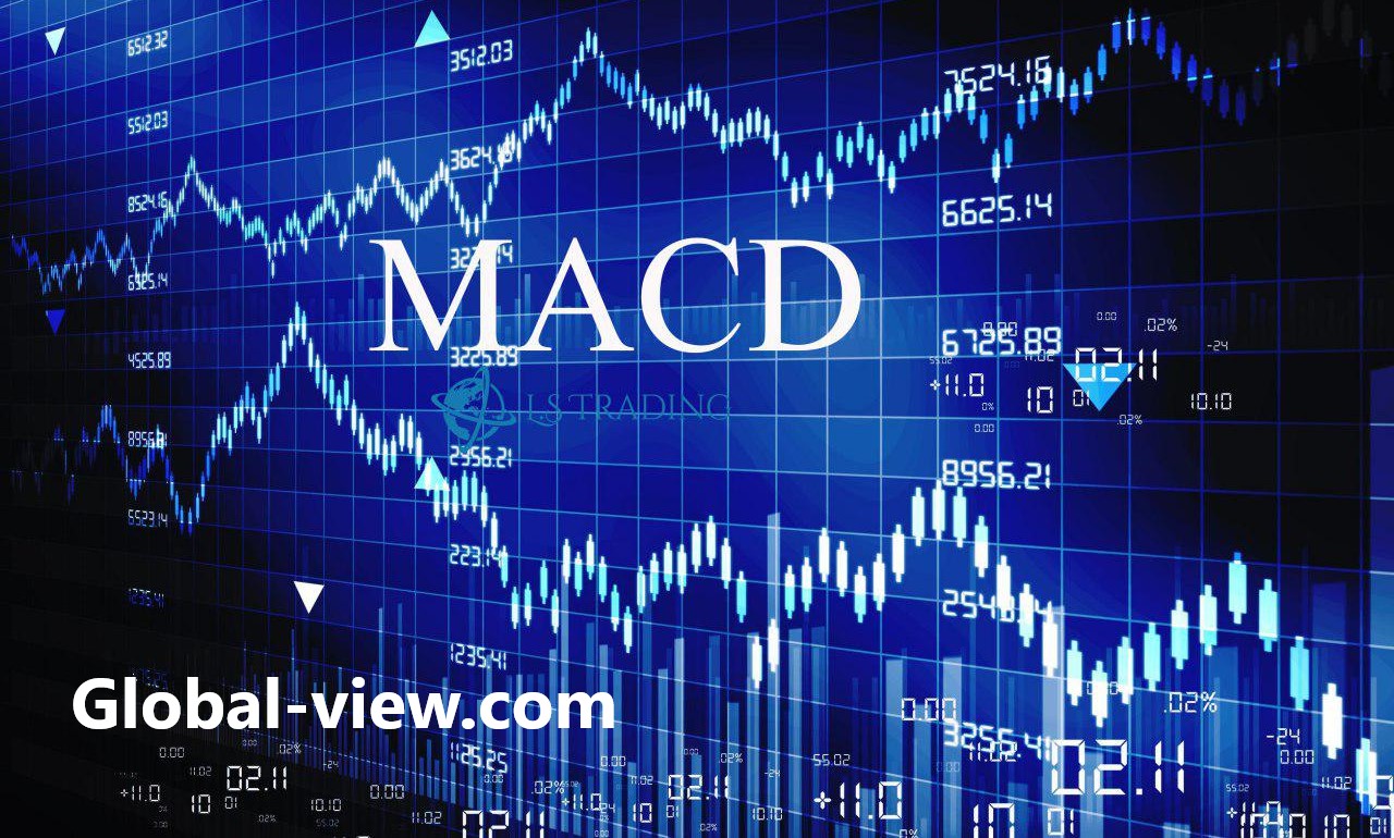 That 1 Special Indicator for Successful Trading