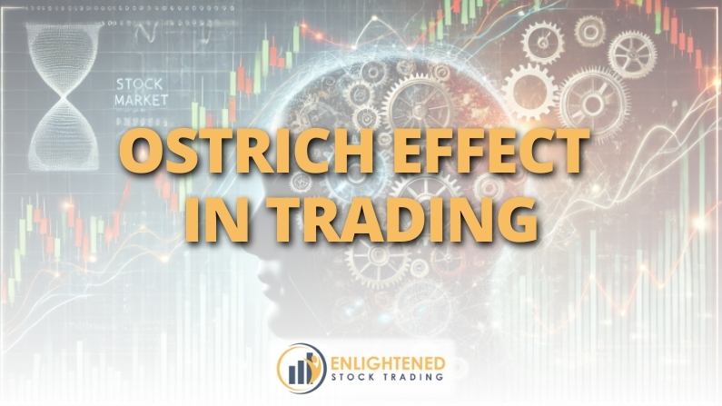 The Danger of the Ostrich Effect in trading & How to Overcome It