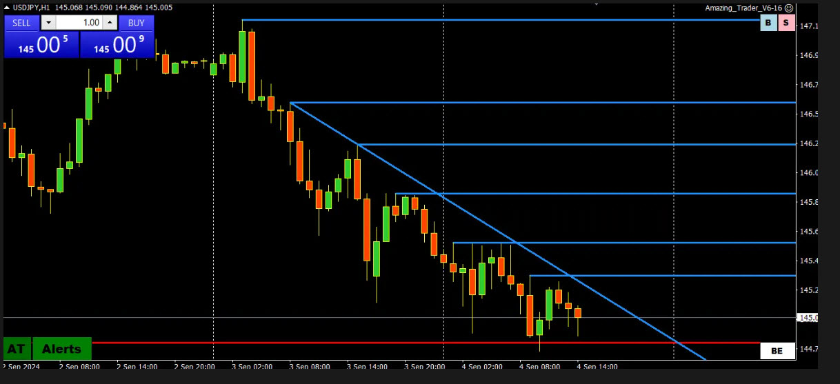 What is The Amazing Trader Story?