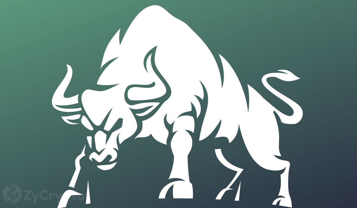 Why Ether, XRP, Solana, Cardano, Shiba Inu Are Primed For $1 Trillion ‘Bull Shock’ In Current Market Cycle