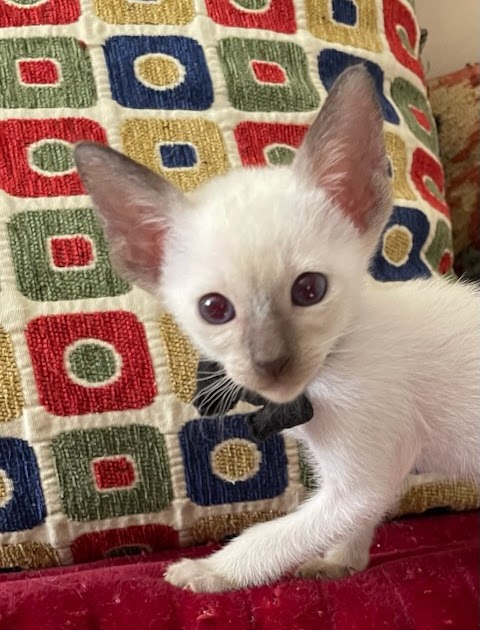 The Truth About Trading Success