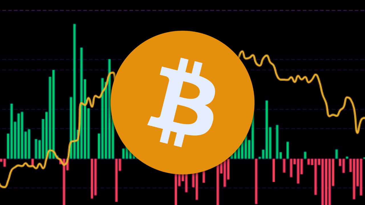 Bitcoin Spot ETFs Break Records as Altcoins XRP HBAR ALGO Await New Inflows