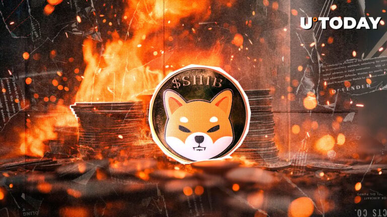 53,791,007 SHIB and 2,416.44% Surge in Just Hours – What’s Happening?