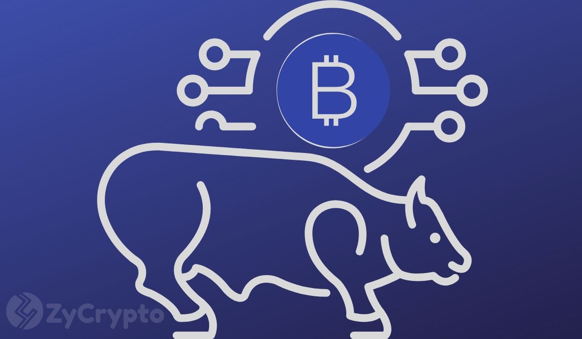 Bitcoin Bulls Set To Withstand Hiccups as Whales Scoop $4 Billion BTC