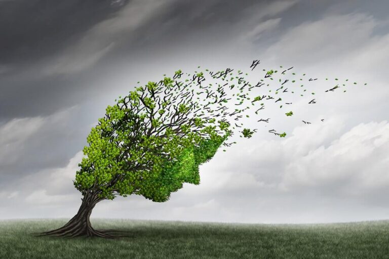 Breaking Wind - Fat Tail Daily