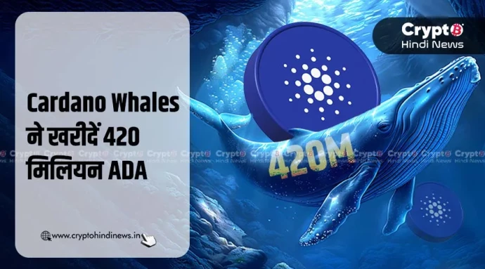 Cardano Whales ने खरीदे 420M ADA, पर प्राइस में नहीं आई तेजी - BitRss - Crypto World News