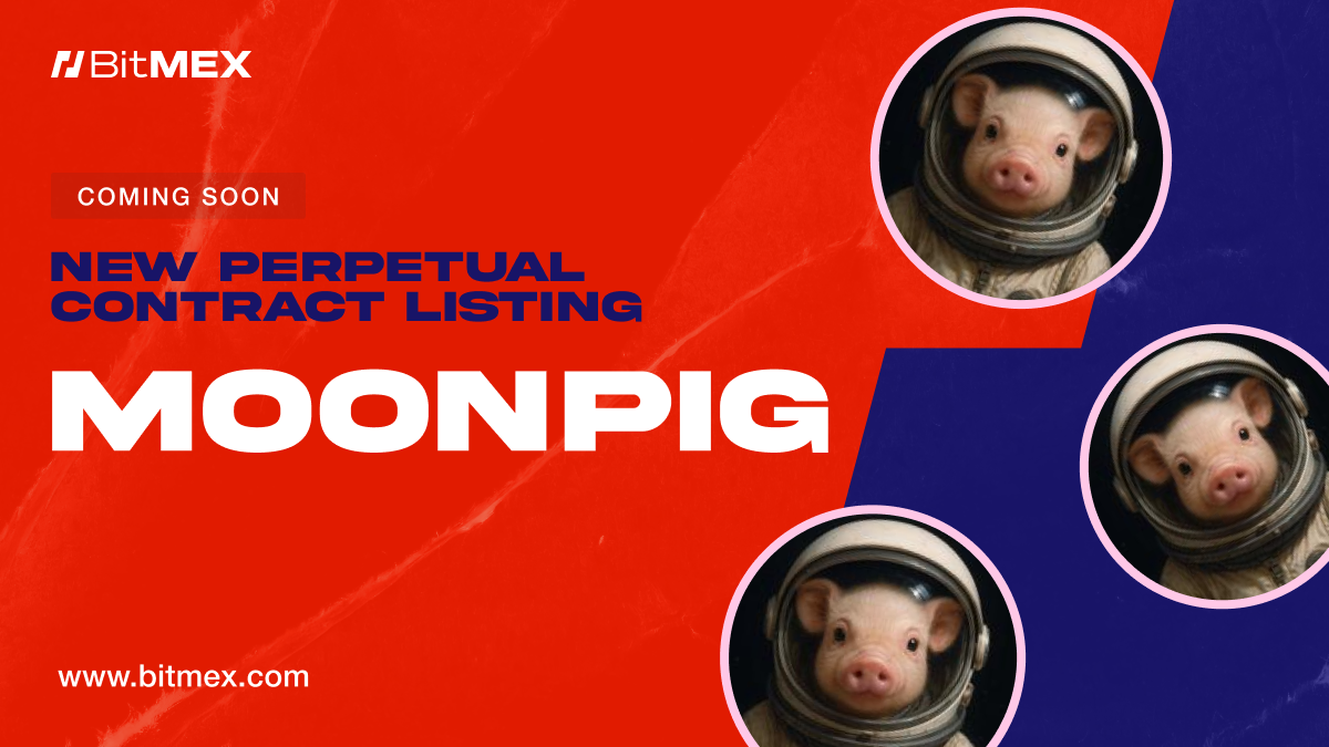 Coming Soon: MOONPIGUSDT Perpetual Swap Listing With Up to 50x Leverage  | BitMEX Blog