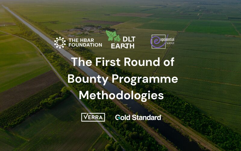 HBAR Foundation and DLT Earth