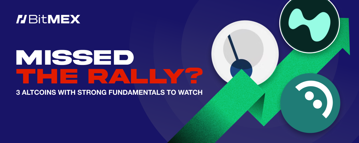 Missed the Rally? 3 Altcoins With Strong Fundamentals to Watch | BitMEX Blog