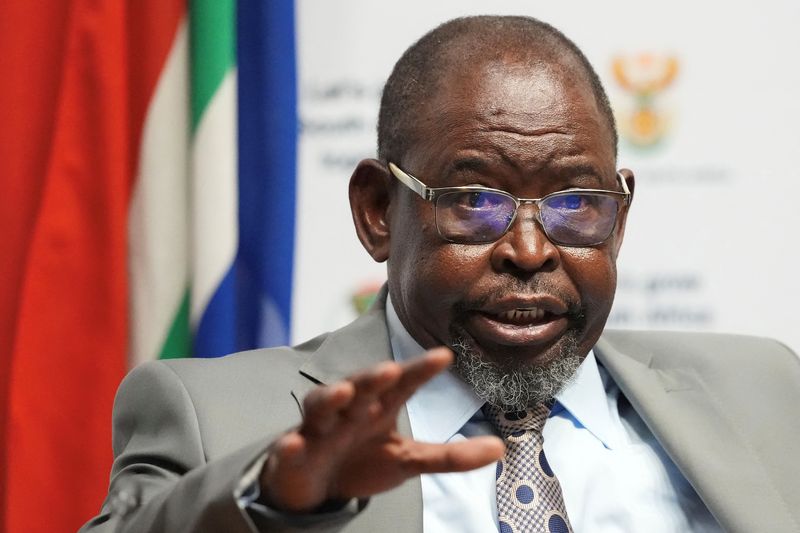 South Africa makes only minor adjustments in third budget try