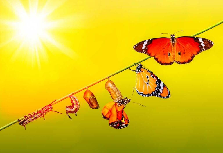 Strathcona Resources: Stronger Buy After Montney Exit And Bold Oil Sands Bid (STHRF)