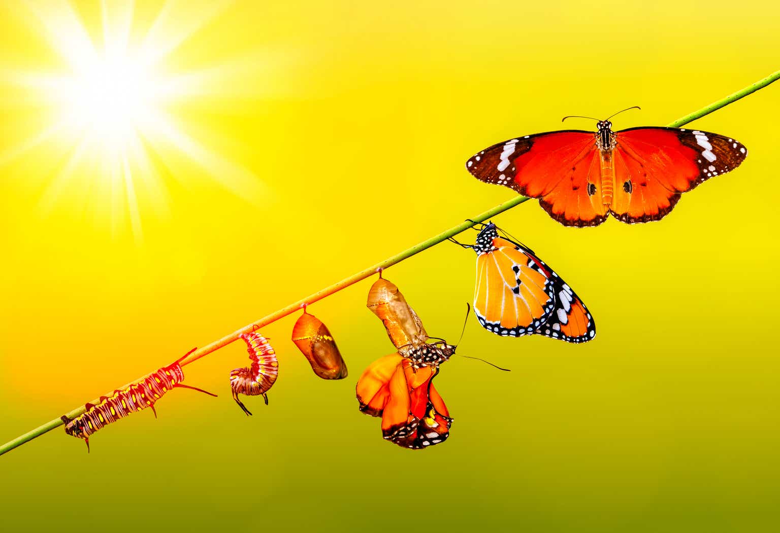 Strathcona Resources: Stronger Buy After Montney Exit And Bold Oil Sands Bid (STHRF)