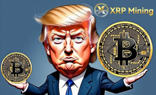 Trump supports new cryptocurrency policy. How to seize the opportunity to earn $18,700 a day through cloud mining?