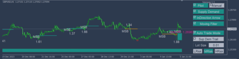User Guide And Introduction To Run MSB robot On Real Account _ English Edition