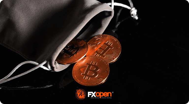 What Is a Bag Holder in Trading and Investing?