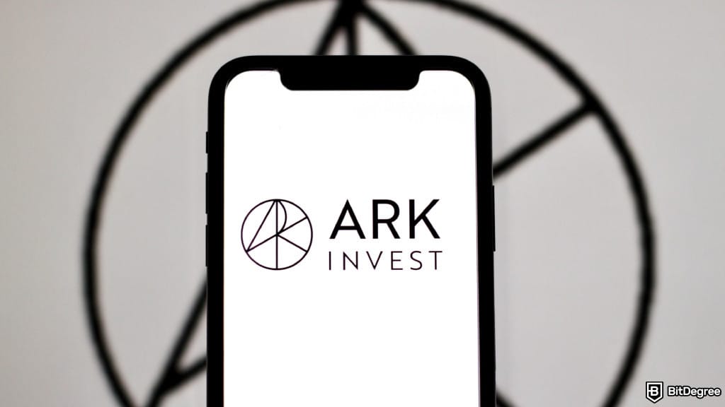 Cathie Wood dumped $100M in Circle - should you care