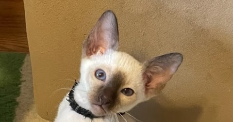 Best Trading Practice:  Using Core Motivations to Change Your Life and Your Trading