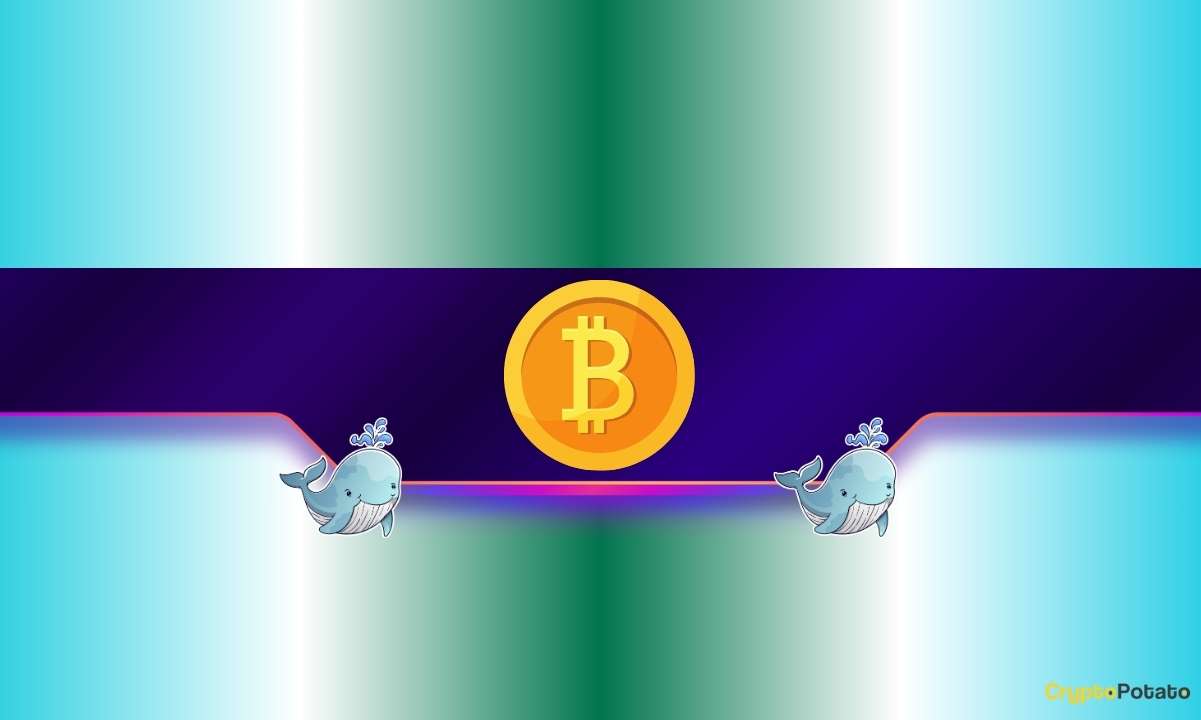 30,000 BTC Bought in 4 Days: New Bitcoin Bull Run Incoming?