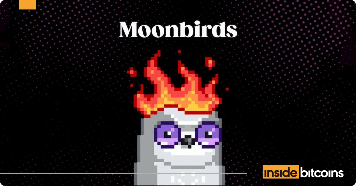 Moonbirds_optimized