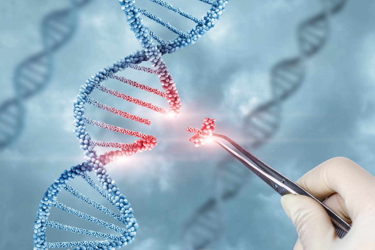 Crispr Therapeutics: Face The Harsh Reality Instead Of Waiting (NASDAQ:CRSP)