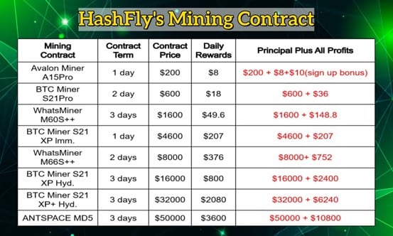 HashFly Introduces High-Yield BTC Cloud Mining—Passive Income Without Hardware – BitRss – Crypto World News